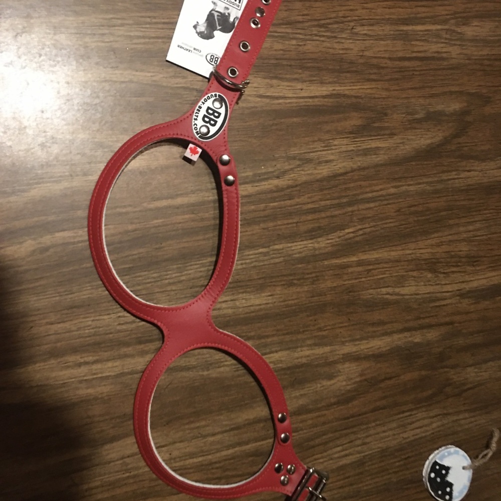 buddy belts harness